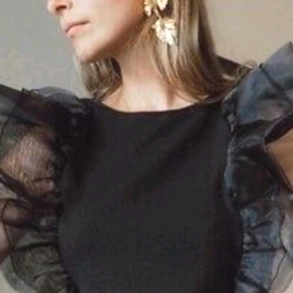 Zara Tops - NWT ZARA WOMAN | Contrasting Organza Top Black